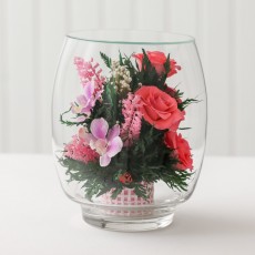 FIORA Арт:31779(TBL-M) цветы в стекле
